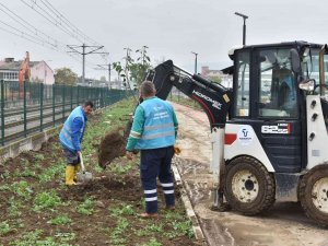 Tekkeköy’de 1500 Fidan Toprakla Buluştu