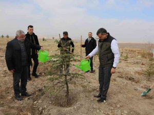 Çorum’da 29 Bin 500 Fidan Toprakla Buluştu