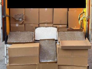 Tem’de Durdurulan Araçtan 2 Milyon Dolu Makaron Çıktı: 2 Gözaltı