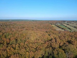 Sinop’ta Eşsiz Sonbahar Güzelliği