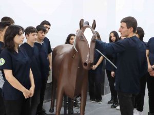 Konuşan Maket At Ve Sığır İle Hem Eğleniyorlar Hem Öğreniyorlar