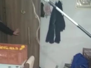 Elazığ’da Eve Giren 1 Metrelik Yılan Paniğe Neden Oldu, Ailenin Yardımına İtfaiye Ekipleri Yetişti