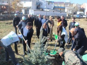 Çıldır’da Fidan Dikimi Gerçekleştirildi