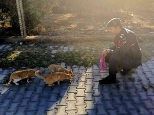 Jandarma, ‘Can Dostların’ Yanında