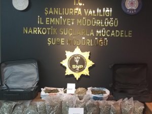 Şanlıurfa’da Yaklaşık 11 Kilo Esrar Ve 7 Kilo Skunk Ele Geçirildi