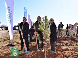 İ̇nönü’de 5 Bin Fidan Toprakla Buluştu