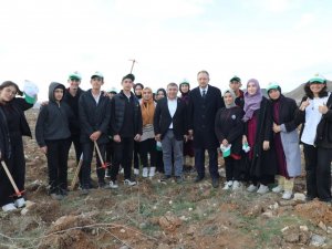İ̇lçenin İlk Hatıra Ormanı: 2 Bin 500 Fidan Toprakla Buluştu