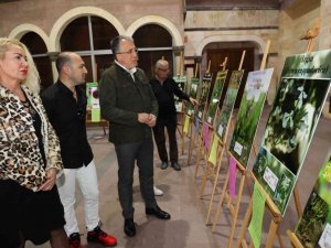 ‘Kapadokya Bitkileri’ Sergisi Açıldı