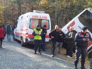 Yedigöller’de Tur Midibüsü Ağaçların Üzerine Devrildi: 8 Yaralı