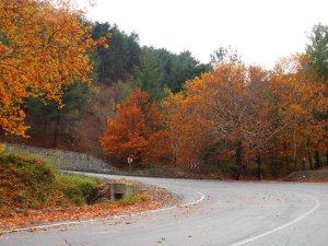 Adana’nın Saklı Cenneti Belemedik Renk Cümbüşüne Büründü