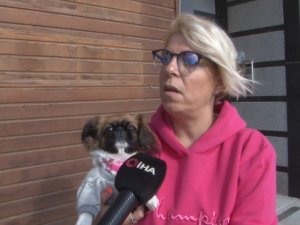 Büyükçekmece’de Pencereden Düşen Köpeği Havada Yakaladı