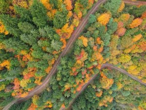 Sonbahar Renkleri Trabzon’u Kartpostallardaki Görüntülere Çevirdi