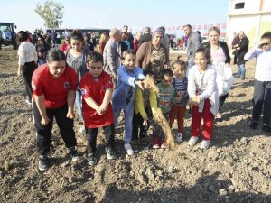 Buğday Tohumları Toprakla Buluşturuldu