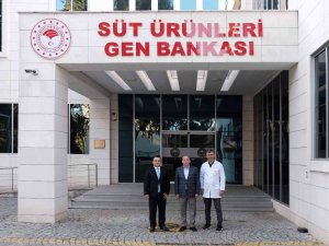 Matlı: "Markalaşmış Bir Gıda Kenti Oluşturma Gayretindeyiz"