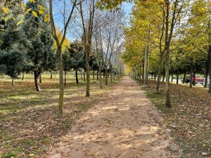 Dev Mesire Alanında Sona Gelindi