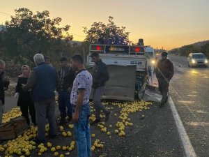 Tekeri Patlayan Elma Yüklü Kamyonet Devrildi