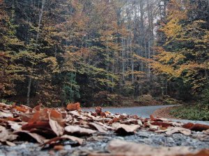 Yedigöller’de Sonbahar Kartpostallık Görüntüler Oluşturdu