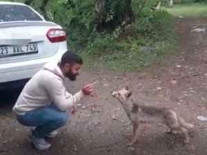 Tilkiye Kraker Yediren Vatandaşın Gülümseten Anları