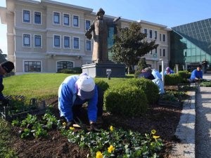 Osmangazi Kış Çiçekleri İle Renklenecek