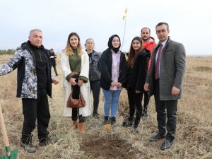 Ağrı’da 41 Maden Şehidi Anısına Fidan Dikildi