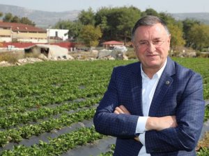 Savaş: "Bir Karış Toprağımızı Nadasa Bırakma Şansımız Yok"