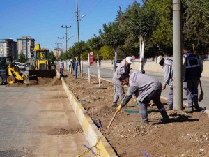 Osb Yolunda Ağaçlandırma Çalışması