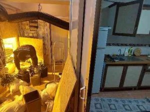 Villaya Kenevir Operasyonunda 1 Kişi Tutuklandı