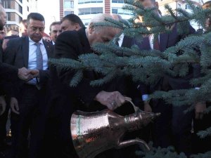 Mhp Lideri Devlet Bahçeli, Adının Verildiği Hatıra Ormanına Fidan Dikti
