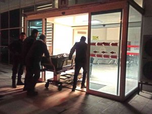 Ağacın Altında Kalan Şahıs Hayatını Kaybetti