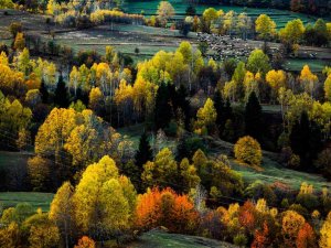 ’Sakin Şehir’ Şavşat’tan Sonbahar Manzaraları