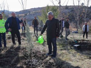 Belediyeden Ağaçlandırma Etkinliği