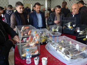 Kütahya’daki ’Kuş Borsası’na İlgi