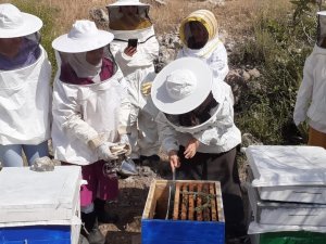 Büyükşehir’den Arıcılara Kışlatma Eğitimi