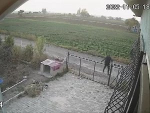 Bahçe Kapısından Atlayıp Köpeği Böyle Çaldı