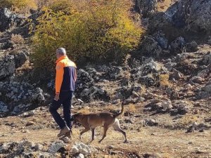 Lice’de Dünden Beri Kayıp Olan Epilepsi Hastası, 145 Kişinin Çalışmasıyla Bulundu