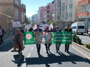 Dicle’de Sağlıkçılardan Sağlıklı Yaşam Yürüyüşü