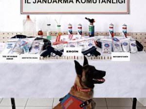 Ordu’da Uyuşturucuya Geçit Yok