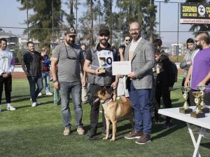 Kuşadası Geleceğin Arama Kurtarma Köpeklerini Ağırladı