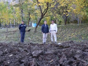 Karnavas Pekmezine Fidan Desteği