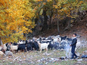 Uludere Renk Tonlarıyla Kartpostallık Görüntüler Oluşturdu