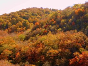 Dumanlı Yaylası’nın Hayran Bırakan Sonbahar Manzarası