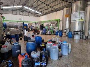 Fiyatı Üreticisinin Yüzünü Güldürdü