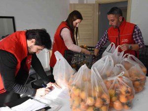 Belediye Bahçesinde Toplanan Cennet Hurmaları İhtiyaç Sahiplerine Dağıtıldı