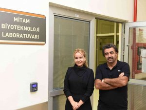 İ̇ncirin Raf Ömrü, Soğan Kabuğu İle Uzatılacak