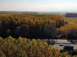 Anadolu İle Avrupa’yı Bağlayan Yolda Sonbaharın Renkleri
