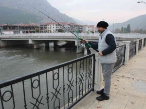 Yeşilırmak’ta Su Samuru Ailesi Görüldü, Vatandaşlar Yayın Balığı Sandı