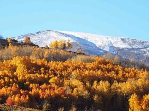 Muş’ta Karlı Dağlarla Birleşen Sonbahar Güzelliği Hayran Bırakıyor