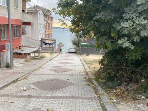 Büyükçekmece’de Çocuğu Köpek Isırınca Ortalık Savaş Alanına Döndü