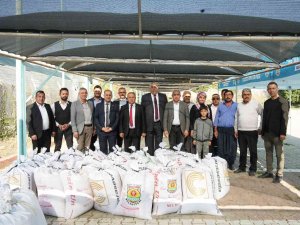 Tarsus Belediyesi Çiftçilere Ücretsiz ’Ata Tohumu’ Buğday Dağıttı