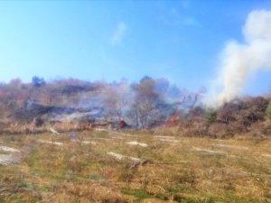 Anız Yangını Ormana Sıçramadan Söndürüldü